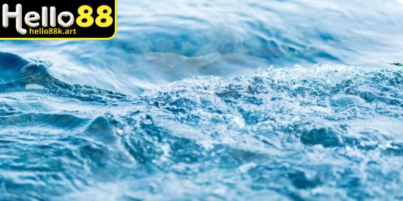 Mơ về nước dâng cao hay lũ lụt biểu hiện áp lực hoặc những biến cố