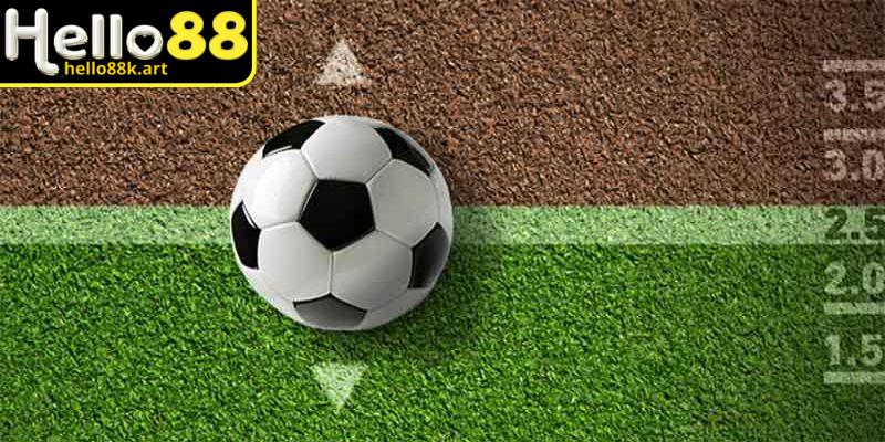 Tổng quan trận đấu trong nhận định bóng đá