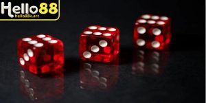 Tham khảo bảng thống kê để có quyết định cá cược đúng đắn